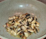 IMG_20210824_181658